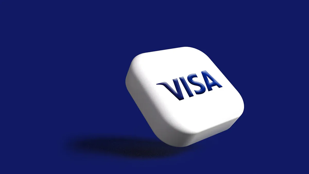 The Vertu Visa Services Process