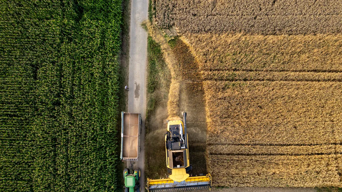 AI Applications in Precision Farming