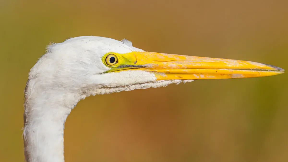 10 Must-Try Free AI Image Enhancers for Sharper Photos
