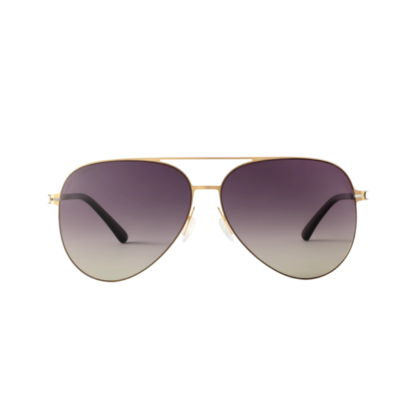 Essence V Men's Polarized Sunglasses Aviator